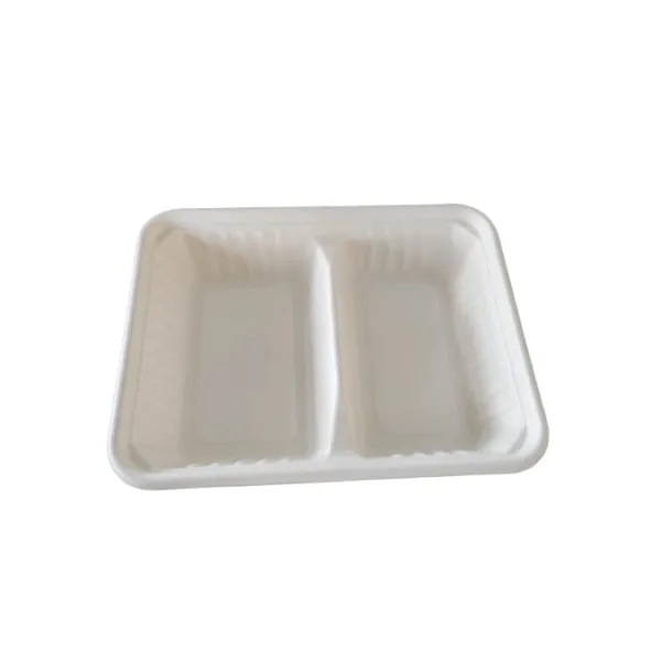 Two Compartment Bagasse Take Away Container
