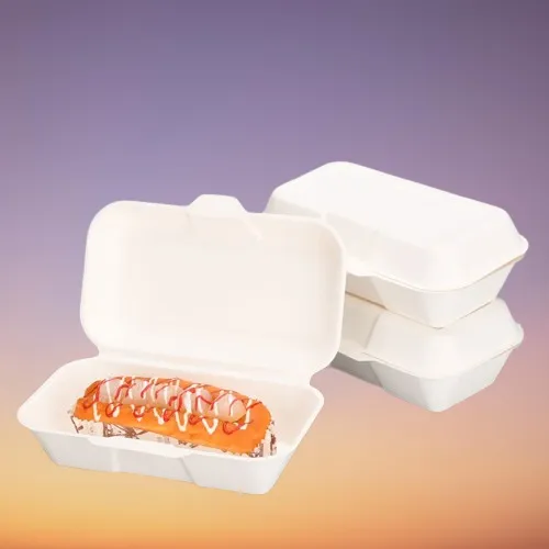 7x5 Inch Bagasse Box