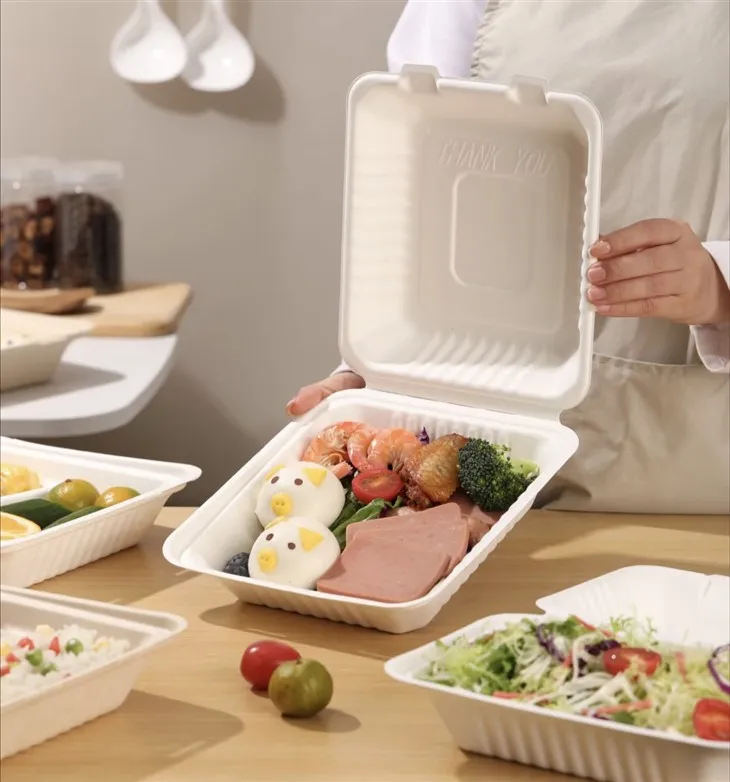 8inch Three Compartment Clamshell