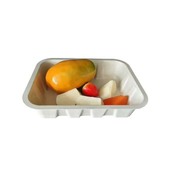 Durable Bagasse Food Tray For Pre-meal, Fruit Or Vegetable